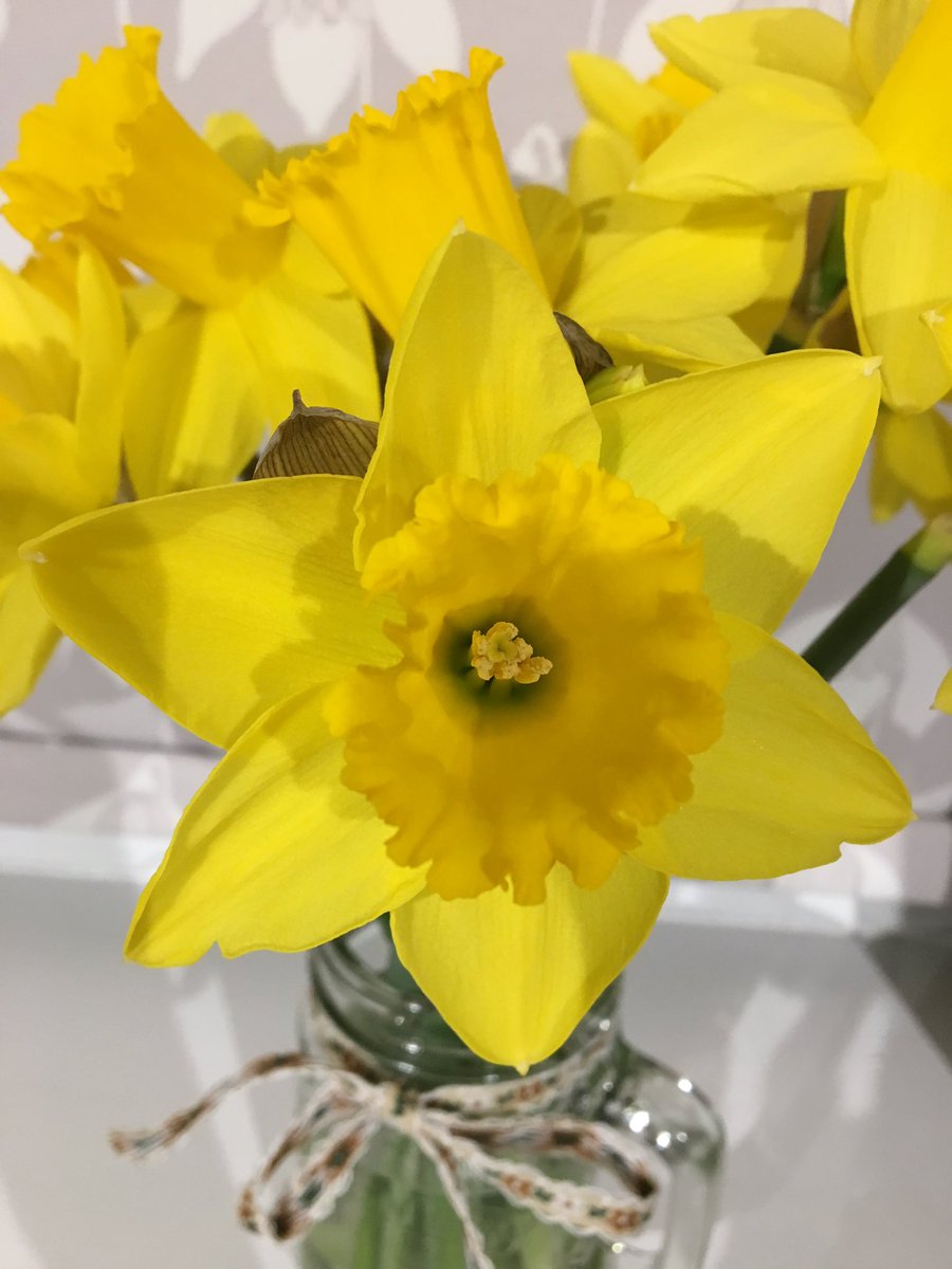 BreconMotors's tweet photo. 1st March means New Reg Day and St David’s Day! Happy St David’s Day! Dydd Gwyl Dewi Hapus! #StDavidsDay️ #welsh #mgmotor #morrisadventures #breconbeacons https://t.co/baXxEWMyOO