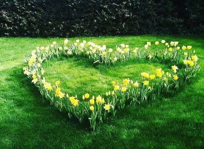 StaySafeCardiff's tweet image. 🏴󠁧󠁢󠁷󠁬󠁳󠁿Dydd Gwyl Dewi Sant Hapus!🏴󠁧󠁢󠁷󠁬󠁳󠁿
❤️💚Happy St David’s Day!💚❤️
#Wales #StDavidsDay2019 #DyddGwylDewiSant2019