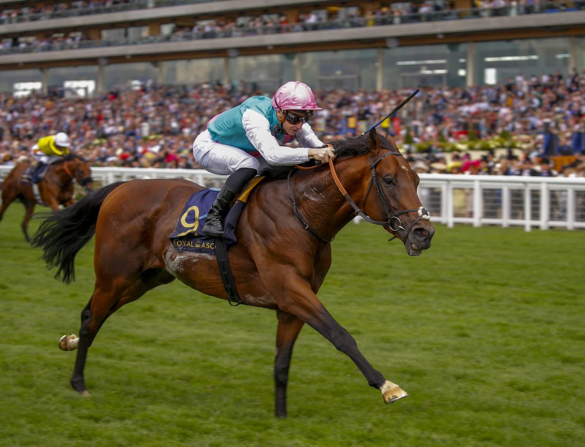 Lazbrookes's tweet photo. LAZBROOKES FRIDAY 

 LIN. 3.05  SUZIES CONNOISSEUR 

       9/1 (Bet365) https://t.co/tmg2LAA5j9
