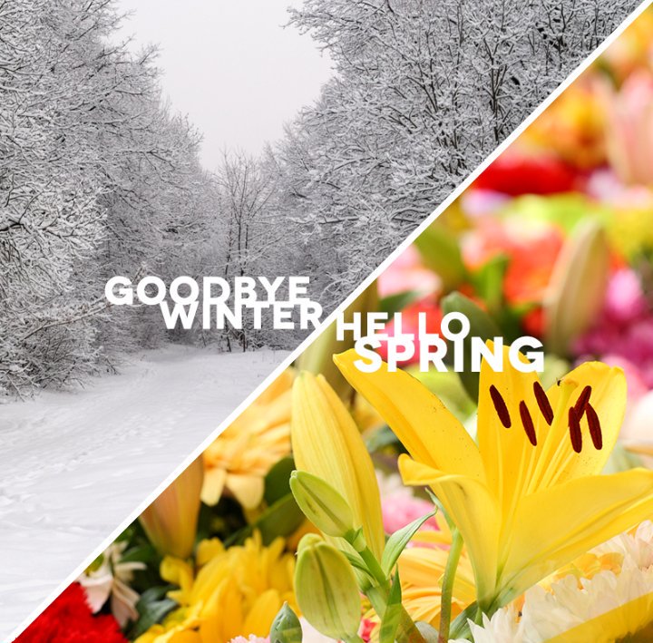 Happy 1st day of Meteorological spring! (we had to google it 🤣) and Happy #StDavidsDay If you 'SPRING a LEEK' call Metro Rod for your #drainage and #plumbing issues