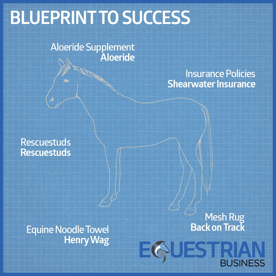 Have you considered switching up your stock? Handpicked by us, the products featured in ‘Blueprint to Success’ come with unique discount codes specifically for readers!
This month we feature products from <a href="/Aloeride/">Aloeride Aloe Vera</a>, <a href="/BackOnTrackProd/">Back on Track USA</a>, <a href="/HenryWagPet/">Henry Wag</a>, <a href="/ShearwaterIns/">Shearwater Insurance</a>, <a href="/rescuestuds/">Nigel Turner</a>