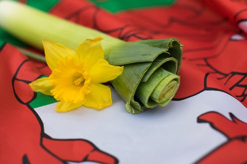 Happy St. David's Day everyone! Welsh cakes all round please!!! #StDavid