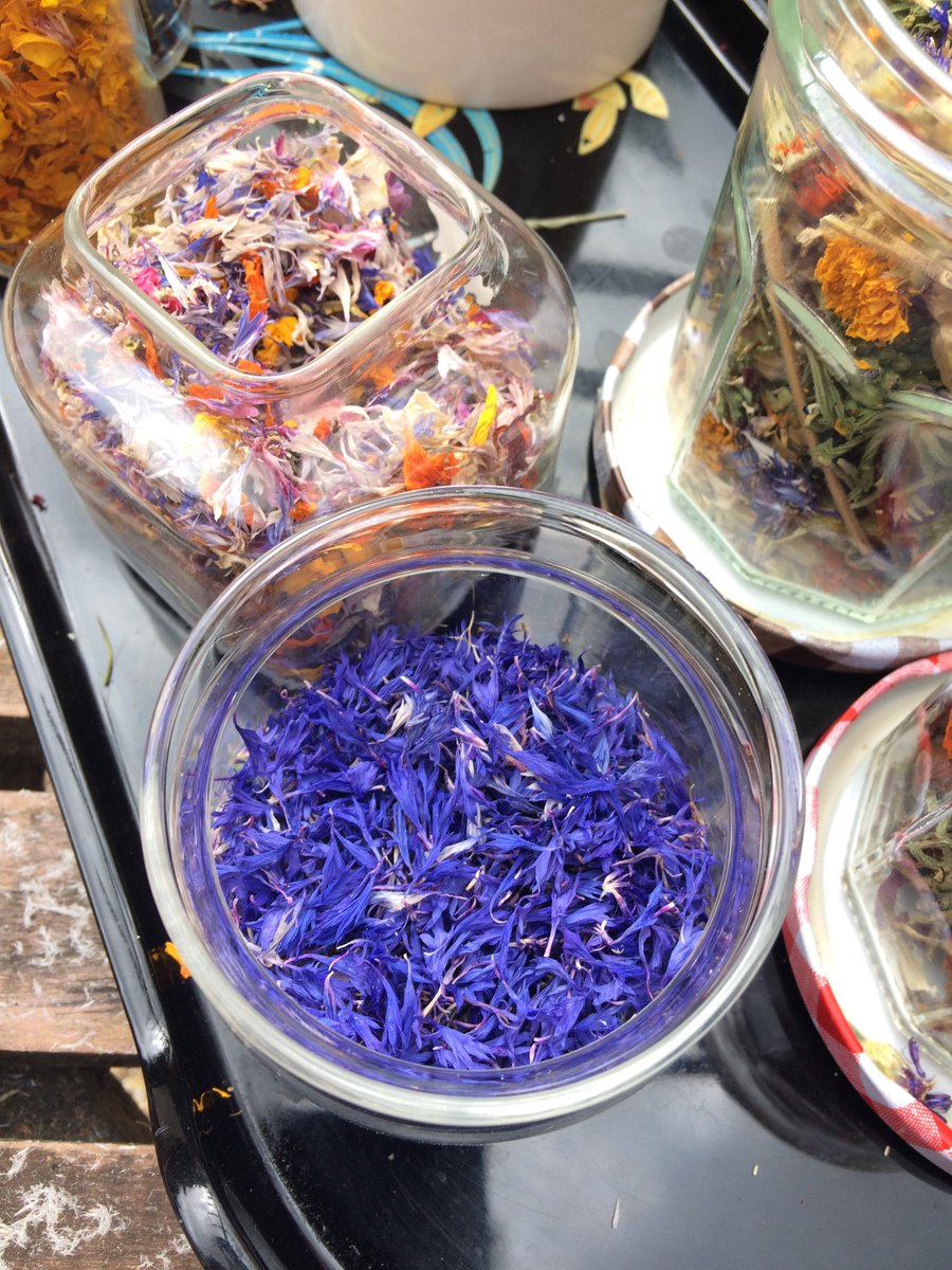 AleZec's tweet photo. How to dry and store #edibleflowers. Come seccare e conservare i #fiorieduli #eatingflowers #fioridamangiare #plantbased #flowers @NZGARDENER @NzOrganic @nzgardenexpo @cuisinemagazine @tastemagNZ @dishmagnz https://t.co/gzqa3gqixK https://t.co/KnLWqcbm0T