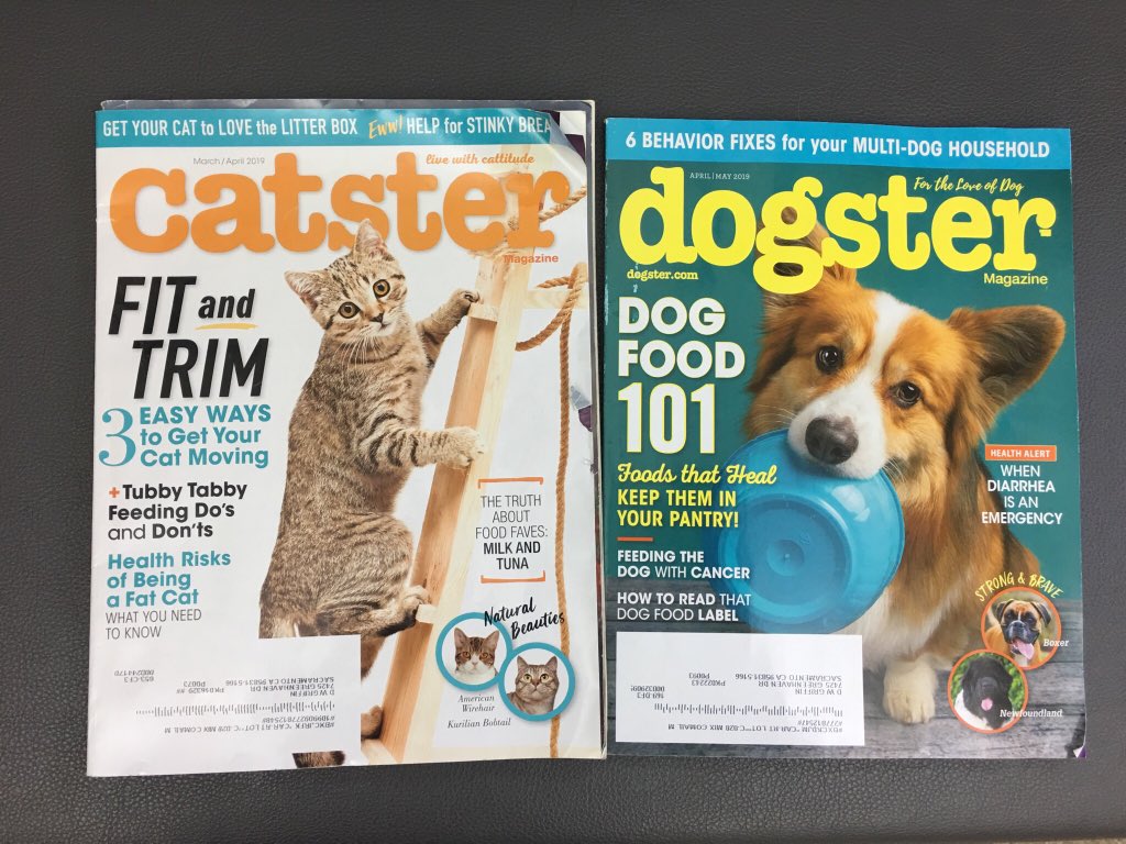 pwhitehouse tweet media