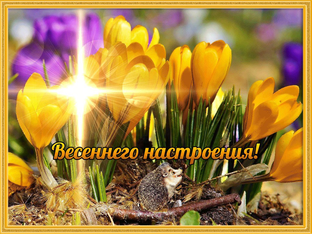 весеннее настроение стихи и фото также засветила