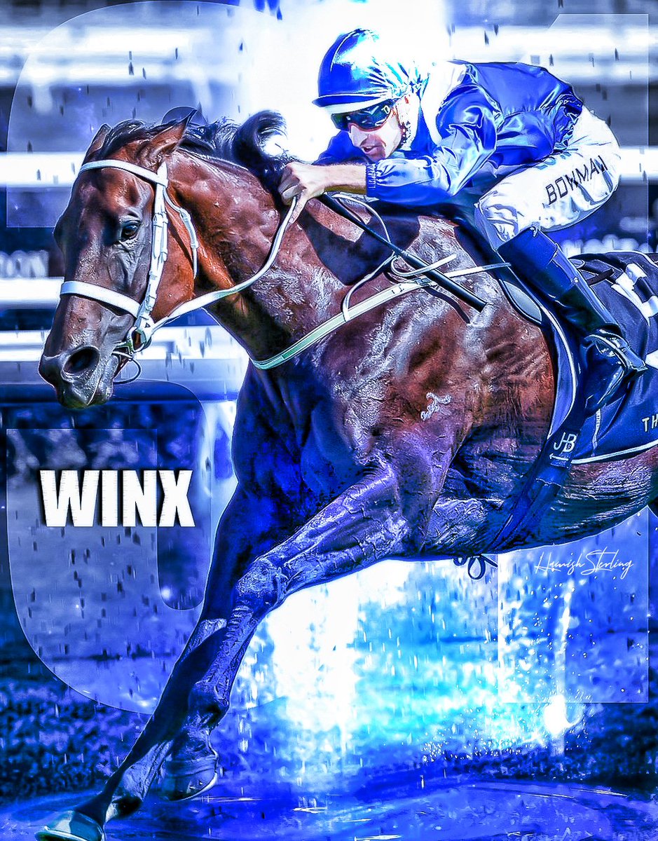 PocketSportsAus's tweet photo. Getting in early on #Winx @cwallerracing for tomorrow's #31 @anz_news @TDNAusNZ @HugeBowman @winx_horse #themighymare https://t.co/2wTFhYs7RU