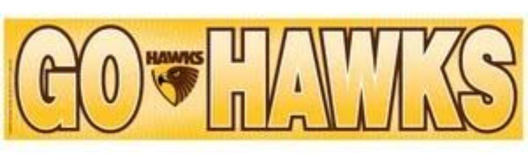 X-Cairns (@afl1hawks) on Twitter photo 