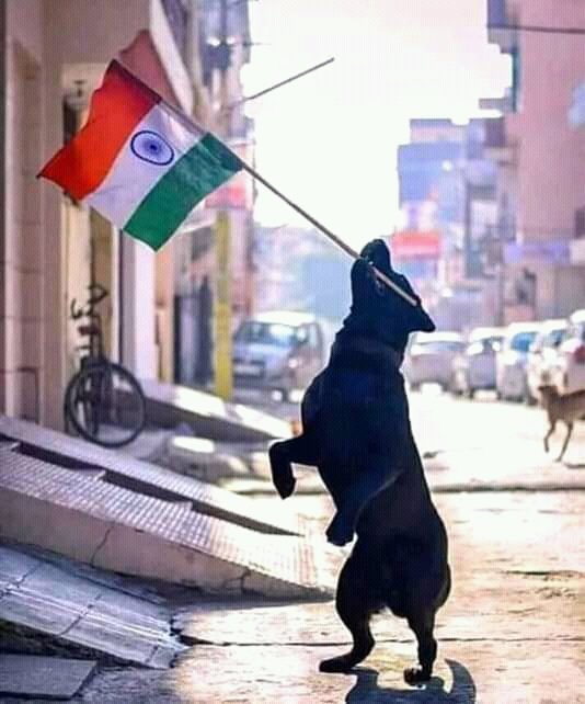 YogeshChoyal3's tweet photo. https://t.co/7GtFU5u67c