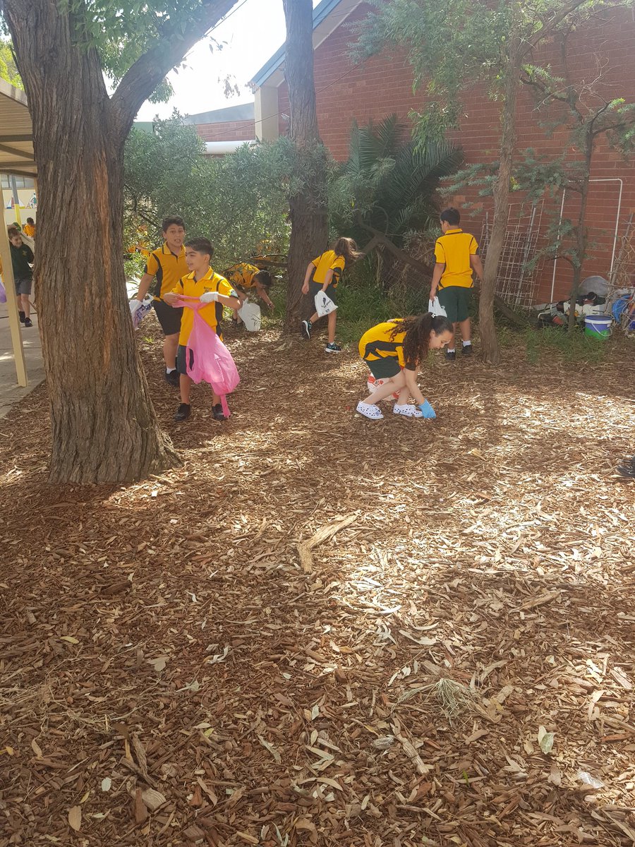 Rayan Tleis (@rayantleis) on Twitter photo 'Clean Up School Day' at Banksia Road! Thank you to all the students and teachers who took part in todays clean up event. Shout out to our SRC for organising our school clean. Keep up the amazing work! <a href="/hamishwoudsma/">Hamish Woudsma</a> <a href="/BahiaMAlmir/">Bahia M Almir</a> <a href="/KhassoukYasmin/">Yasmin Khassouk</a> <a href="/AndrewFielding8/">Andrew Fielding</a> <a href="/DaniellaGalayi1/">Daniella Galayini</a> 'Clean Up School Day' at Banksia Road! Thank you to all the students and teachers who took part in todays clean up event. Shout out to our SRC for organising our school clean. Keep up the amazing work! <a href="/hamishwoudsma/">Hamish Woudsma</a> <a href="/BahiaMAlmir/">Bahia M Almir</a> <a href="/KhassoukYasmin/">Yasmin Khassouk</a> <a href="/AndrewFielding8/">Andrew Fielding</a> <a href="/DaniellaGalayi1/">Daniella Galayini</a>