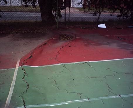 LeighBlomkamp's tweet photo. Beware! Courts should be put out of bounce when: roots create a hazard for twisted ankles, courts collapse and cause fouls in games and other injuries. We can fix all of those issues!
#tennis #netball #basketball #tenniscourts #netballcourts #basketballcourts https://t.co/p74PDdrnrQ