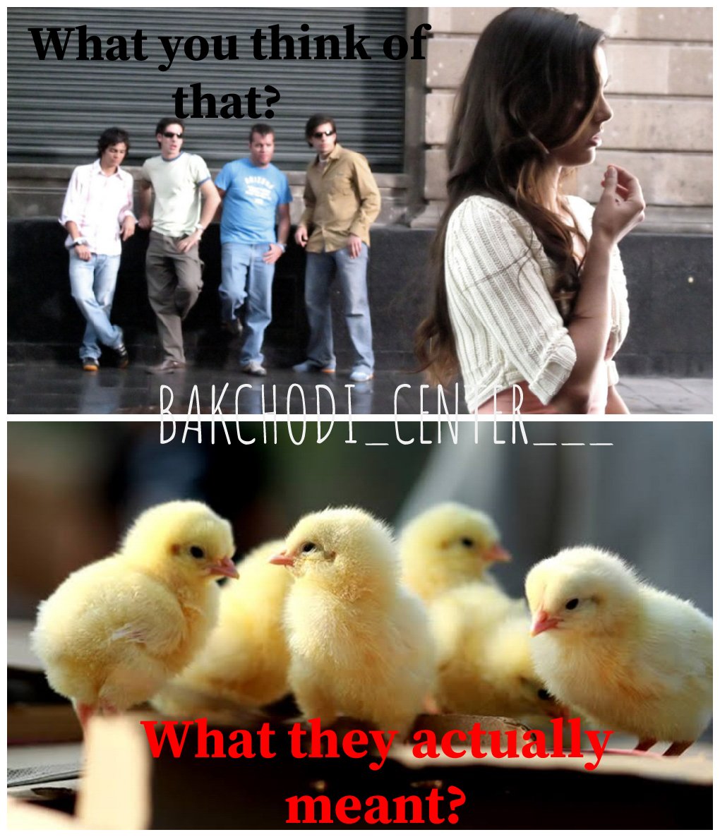 _an_autumn_leaf's tweet photo. When Pakistani men say they want hot chicks....
#Pakistan #chicks #Pakistani #PulwamaAttack #Terrorism #dankmemes #IAF #IndianArmy https://t.co/fnQS0yeLXN