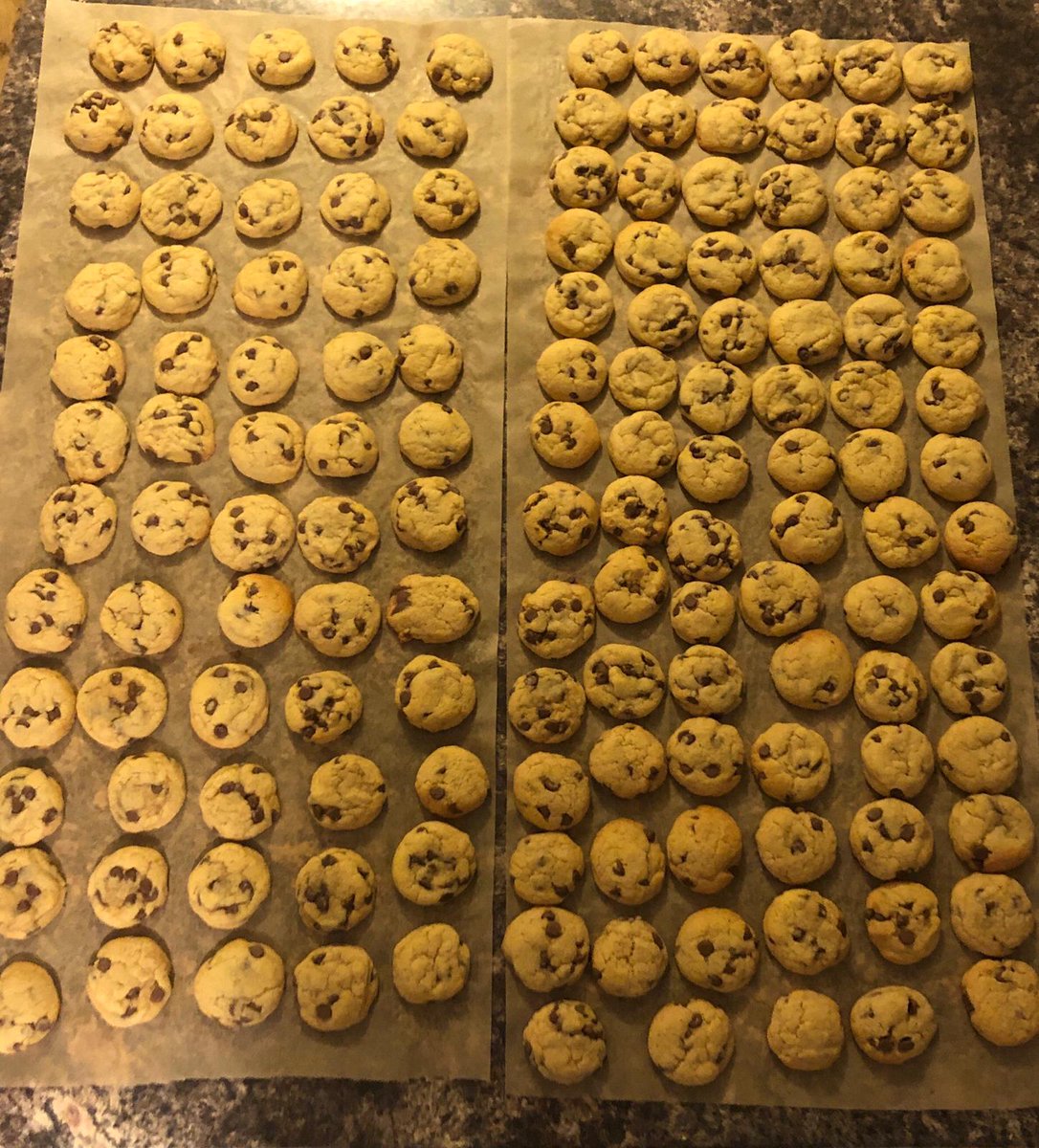 Dunvant RFC Under 10s tweet media