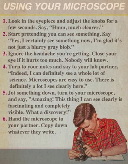MuhasTamelasa's tweet photo. How to use microscope....🔬 looking fo the field ���😂....#SCIENCEINL4B #medicallaboratory @labstudents #labstudents #medicalschool https://t.co/Nl9n6lBlsU