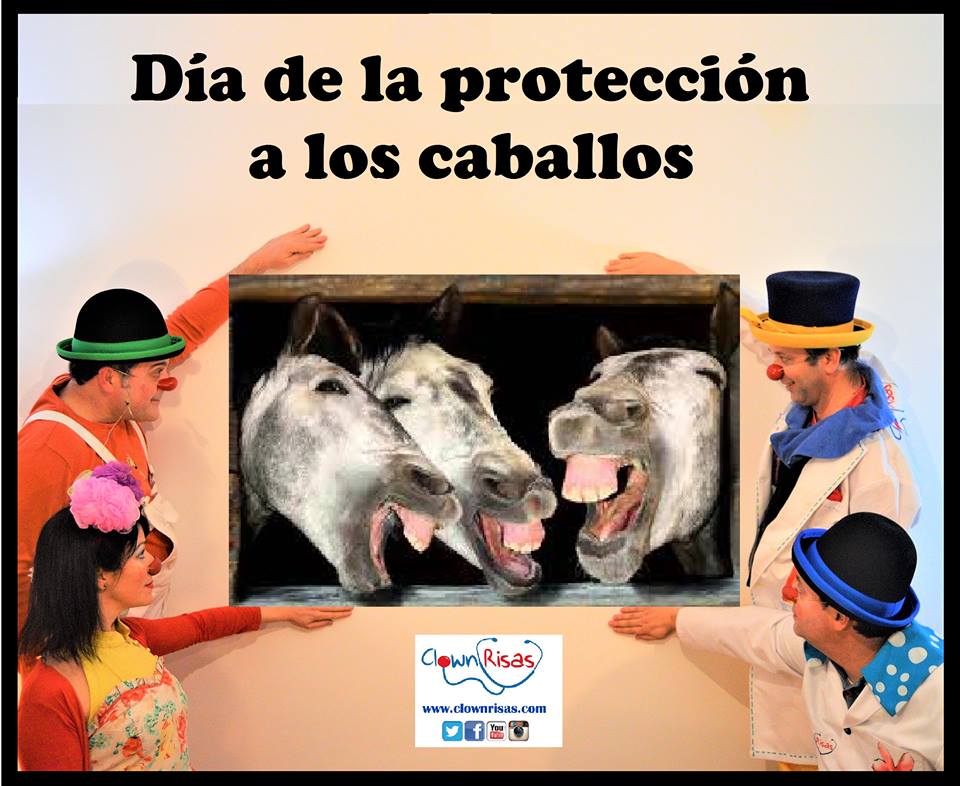Son unos animales preciosos, además de unos cachondos!! 
Protejamos a los caballos, como a cualquier animal.