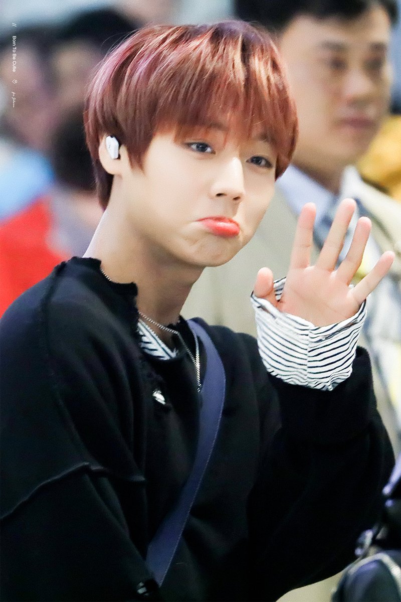 borntobecutie99 tweet picture