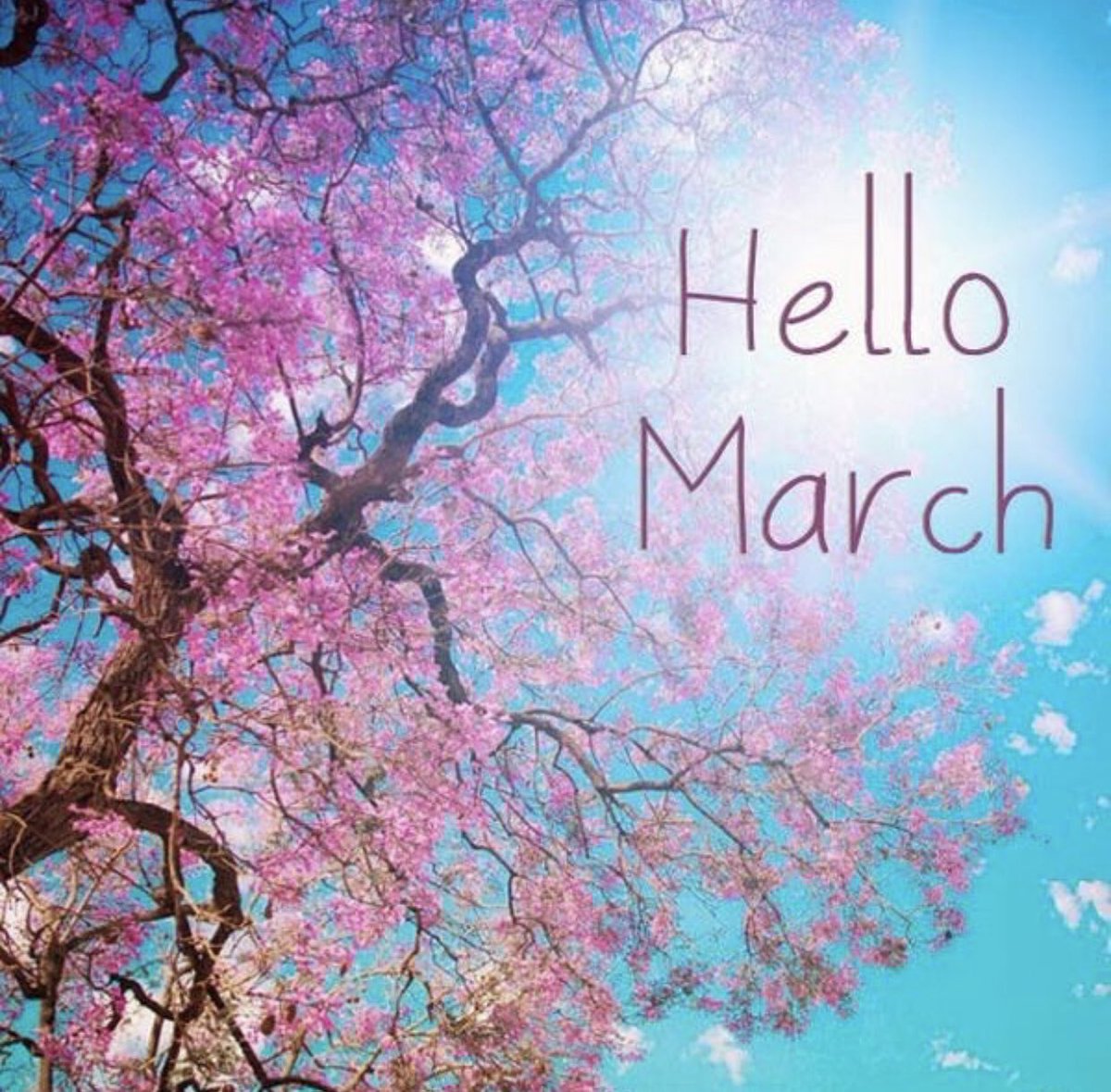 shopcatale's tweet photo. Hello March🌺

Many items are still at a very low price!

Click the link in my bio and go check it out🛍
.
.
.
.
#hellomarch #march #spring  #onlineshopping #onlineboutique #bagsforsale #isellbags #cheapdesignerbag #gucci #guccibagsforsale #louisvuitton #lv #lvneverfull https://t.co/7mpSqeMHdW