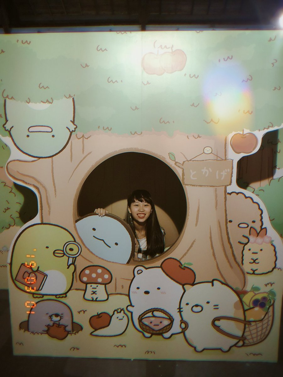 911137_x's tweet photo. 角落生物展 https://t.co/sgff9J88ve