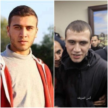 View image on Twitter