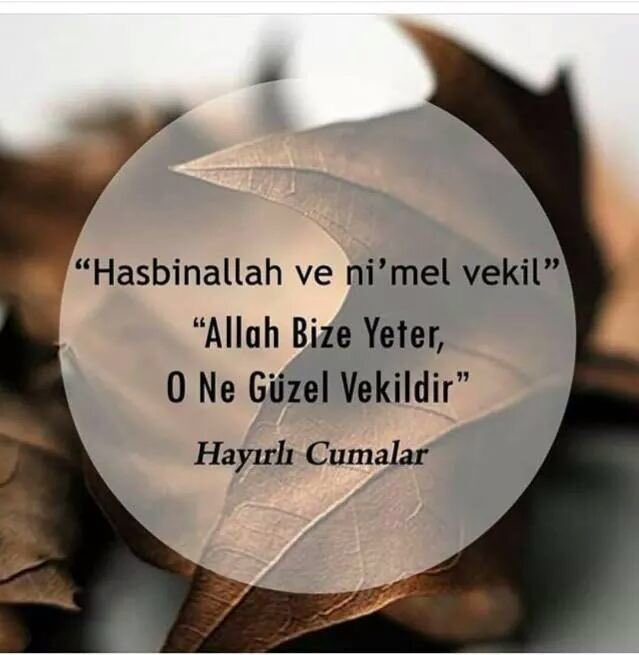 Anittepeli Mehmeta Twitter