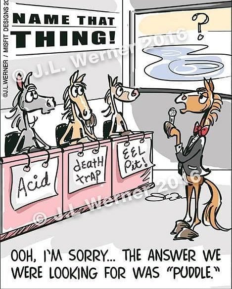 PainlessSports's tweet photo. #eventing #Horses #horse #EquestrianProblems #equine #showjumping #EquestrianLife  #equstrian #dressage #difficulthorses https://t.co/VP7pkQPeCF