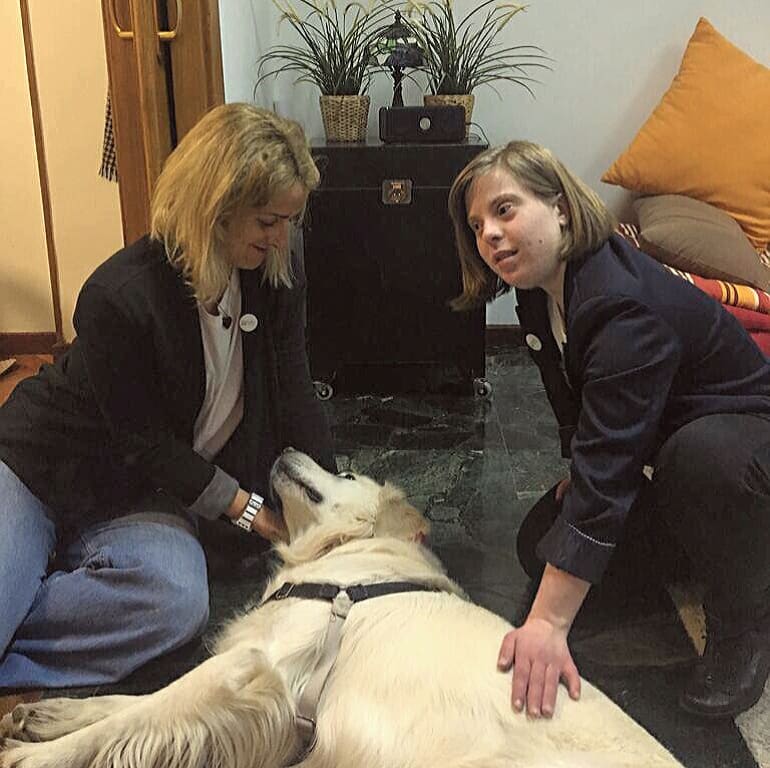_cocodoc's tweet photo. ¿Fobia "perruna"? 🐶🐕🐩
Marta, nuestra "secre", ya no tiene miedo!! 👏🏻
En Cocodoc tenemos exposición con realidad virtual, así como en vivo y en directo. ¡Fuera miedos, fuera limitaciones!
#cocodocpsicologia #fobias #realidadvirtual #psious https://t.co/cLWYGdEgh2