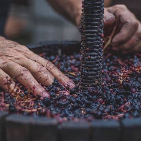 This is one for the #winelovers! Can you name one Greek wine? Don't worry if you can't, as our latest article highlights five wines to try bit.ly/2SyB6a7  @foodandwine @Winepleasures @WineEnthusiast @WineAtlas @WineGroupie @winegreece @VisitGreecegr @CheeseTraveller