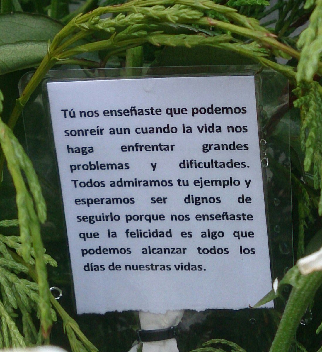 Dos años sin ti pero el espíritu del dorsal 32 sigue vivo.  La Vida con una Sonrisa #laELAexiste #dorsal32 #lavidaconunasonrisa