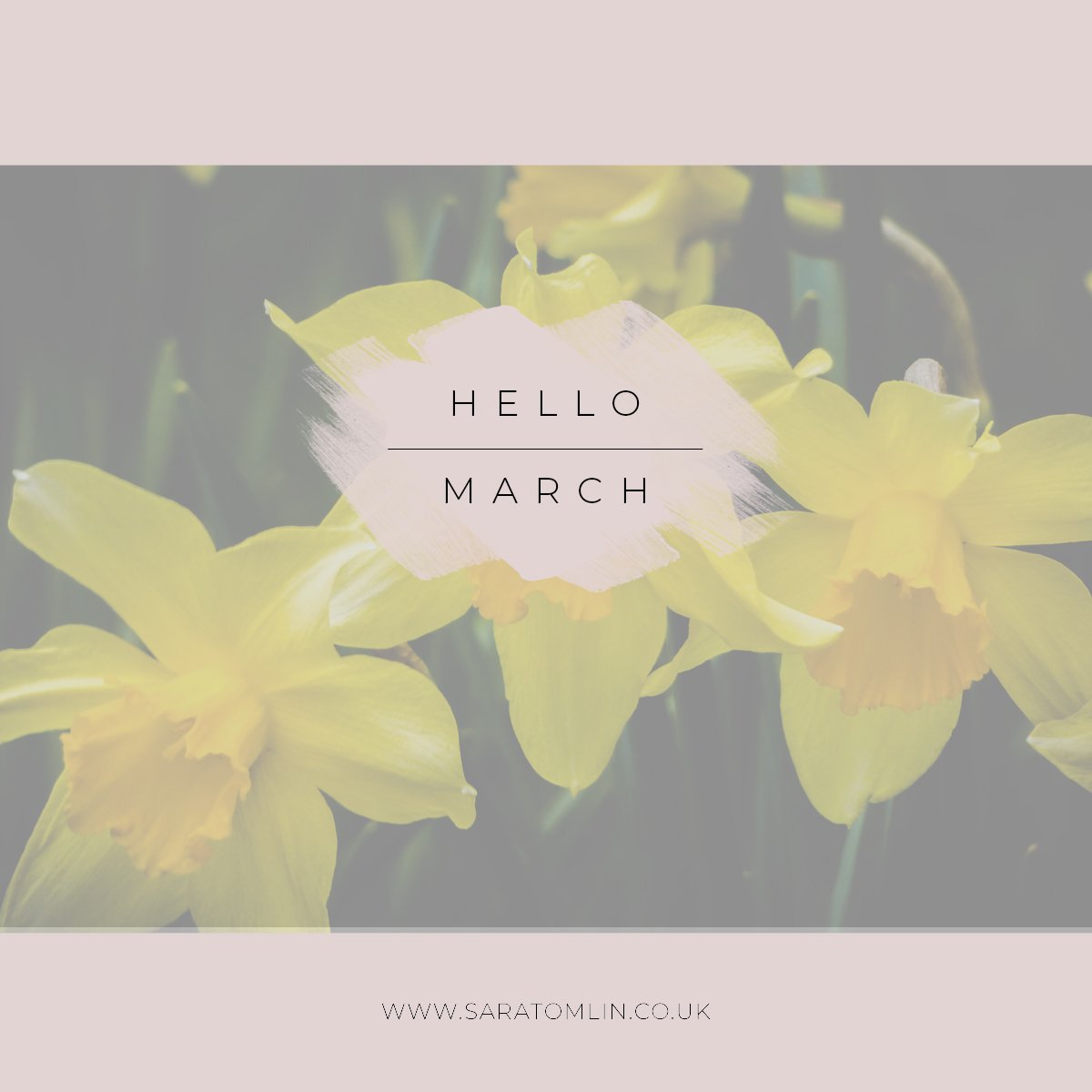 March welcome to you and the hints of Spring in the air.

We have just 1 space left for a newborn session this month so please DM if you would like more information about our Newborn Photography Experience