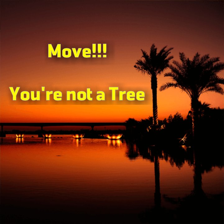 stephen_phlive's tweet photo. Move! You're not a Tree
If you don't like your current placement in life, move (change). After all, you are not a tree.
Change is your choice.
#fridaymorning #fridaymotivation #fridaymotivations #friyay #move #change #thewaythingswork #stephenwithaph #imbeventconsulting https://t.co/zuHXH9pc2o