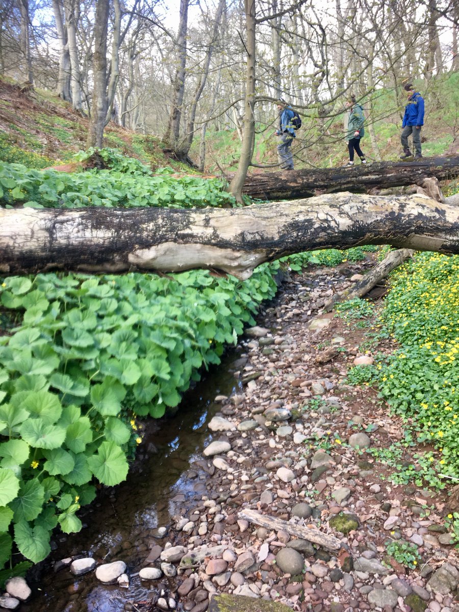 ramblersscot's tweet photo. Got that #FridayFeeling? Why not plan a fun walk this weekend with one of our 54 groups? https://t.co/P0tJnq2ee2 

They'll explore great places on foot, from the tops of Beinn A'Chaorainn, Criffel &amp; Ben Challum to gentler strolls in Penicuik, Pittenweem &amp; on the banks of the Tay. https://t.co/mrCmnjOXyD