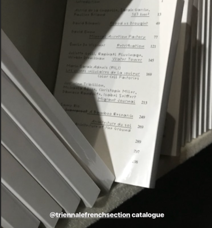 triennalefrenchsection tweet media