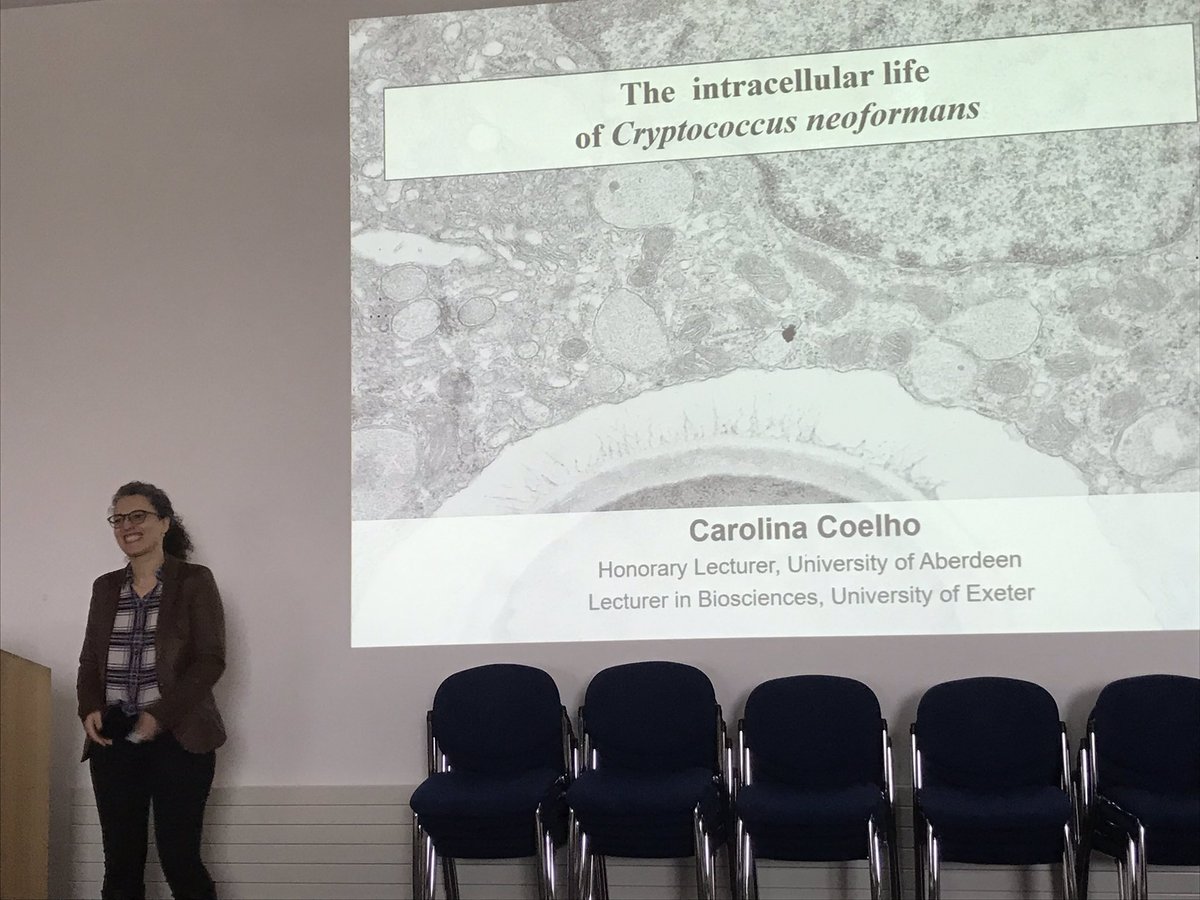 AFGTweets's tweet image. School PI seminar by @caipcoelho #cryptococcus  #mitochondria @MRCcmm
