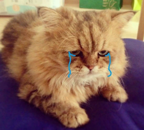 Mood:
