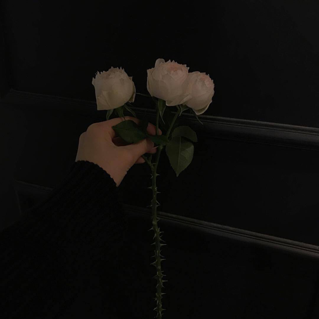 itfeelquotes's tweet photo. To need someone is a very dangerous thing.

การที่คุณต้องการใครสักคนขึ้นมา
มันโคตรอันตรายเลยนะ https://t.co/TfrSF2qEJD