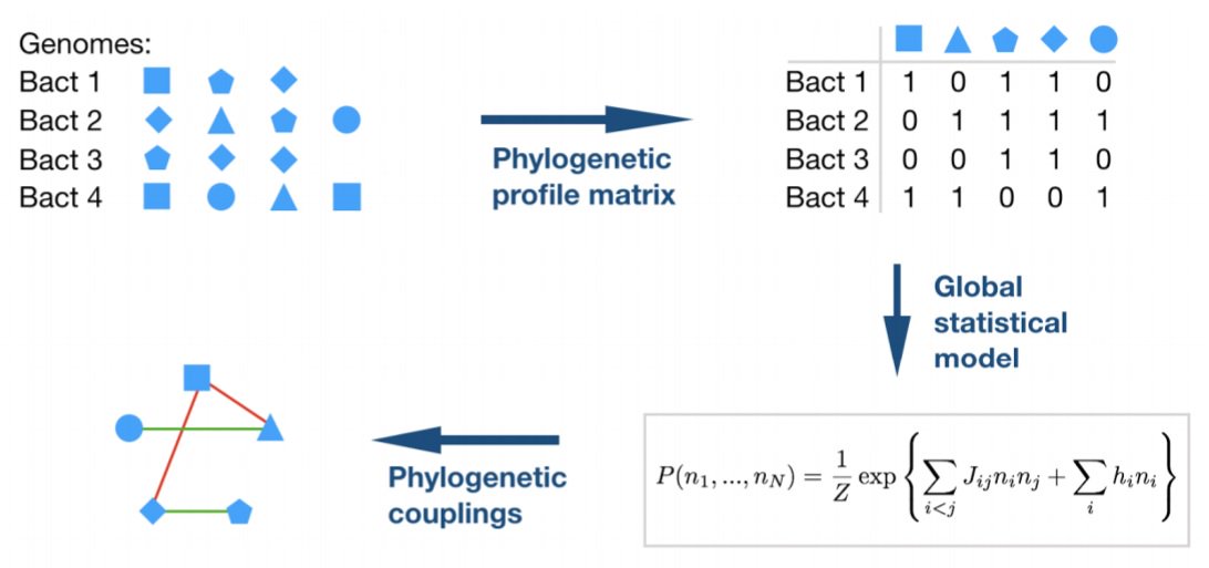 moorejh's tweet photo. A multi-scale coevolutionary approach to predict interactions between protein domains https://t.co/j5qmLSTzFl #bioinformatics #strucbio #evolution https://t.co/Iw1JhwnrBM