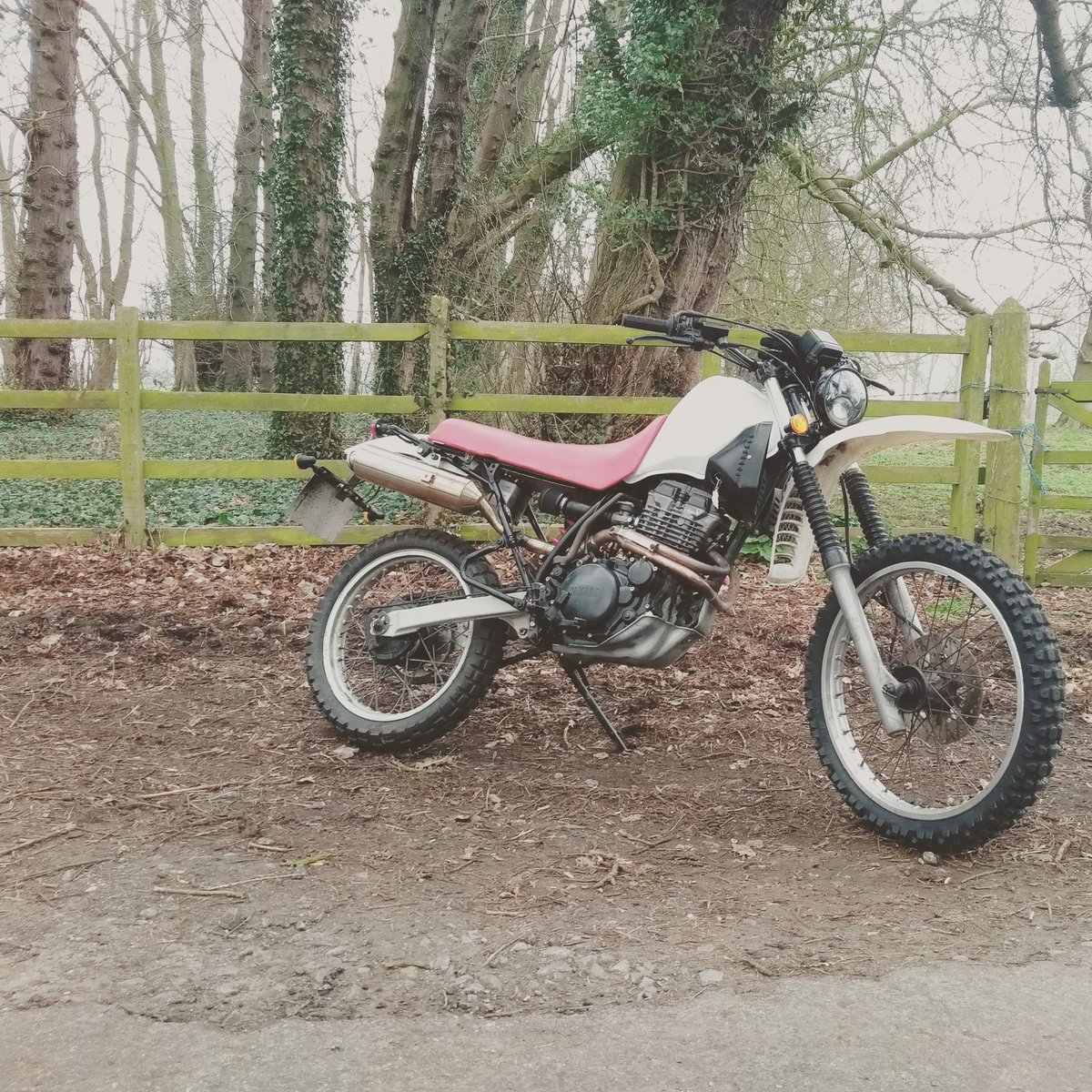 yamaha xt 350 scrambler