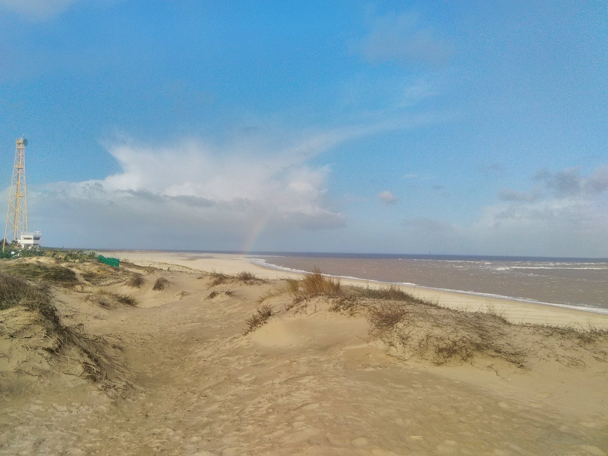 Migration survey at #Pointedegrave Gironde France began this morning. First early #Housemartin and one white wagtail of Yarrelli subspecies. See all data on <a href="/trektellen/">Trektellen.org</a> til 31 of May.