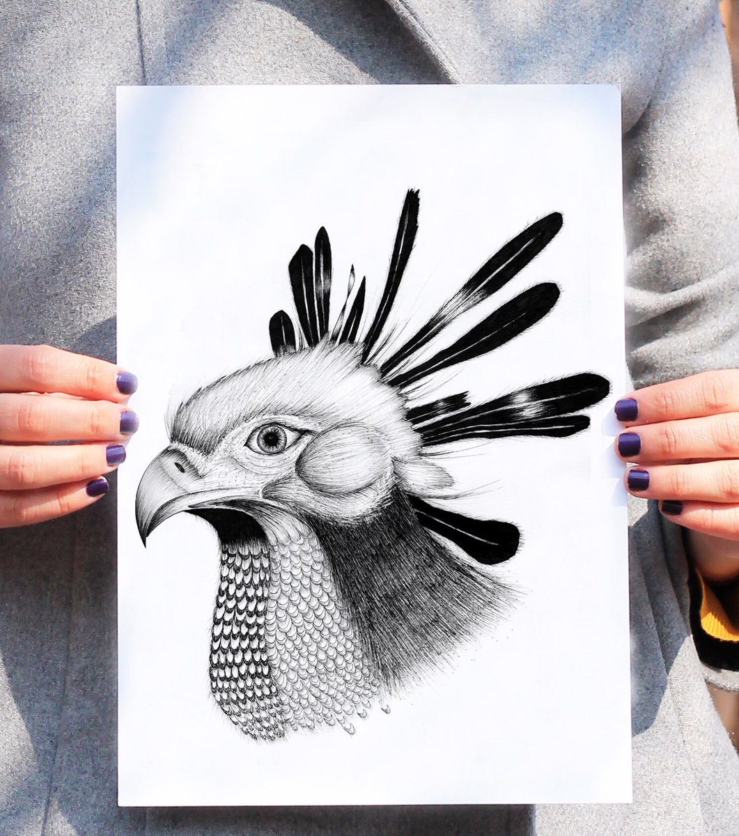 Madalinadraws's tweet image. And the original ink illustration. Staedtler ink liners on 300gr watercolor paper 🦅 #eloquentjavascript