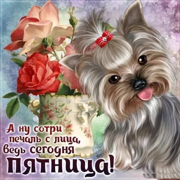 Приколы поздравления с пятницей