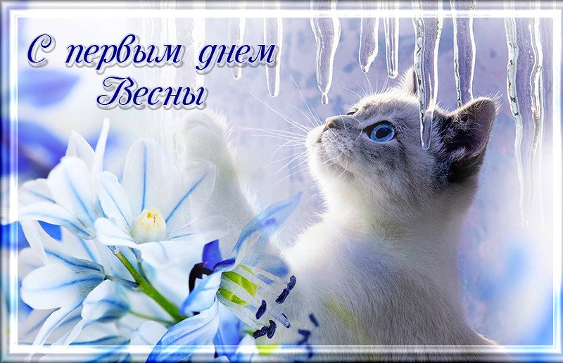 Уже весна открытки, картинки хорошем качестве