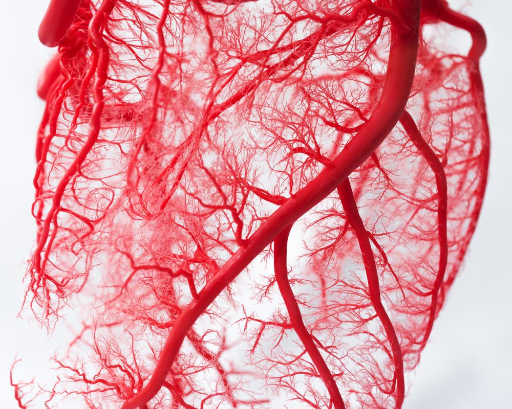 Askdoctorchat's tweet photo. Adults have more than 10,000 miles of blood vessels.
البالغون لديهم أكثر من 10 آلاف ميل من الأوعية الدموية.
#adult #healthcare #healthy #doctor #chat 
https://t.co/pkszAHW9q4 https://t.co/WsV8Zh6MAA
