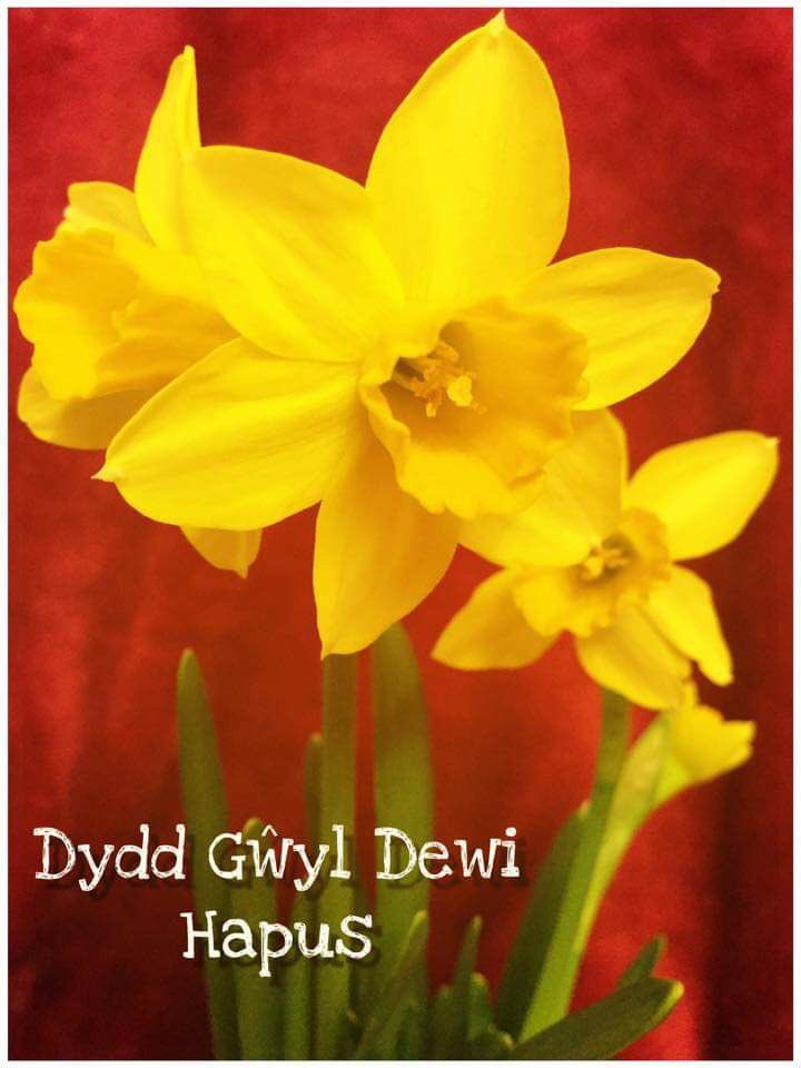 Cyfarchion wrth bawb yma