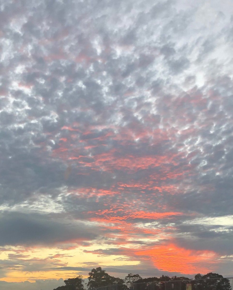 cilmaloney's tweet image. 27. Rad #fms_rad #fmspad #littlemomentsapp