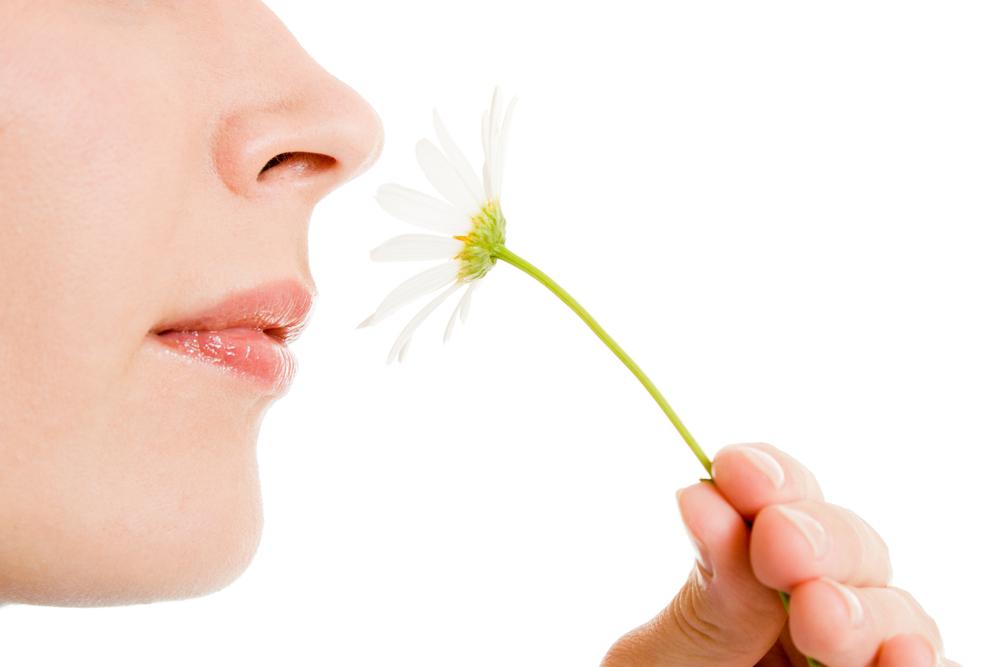 Askdoctorchat's tweet photo. The nose can remember up to 50 smells.
يمكن أن يتذكر الأنف اكثر من 50 رائحة.
https://t.co/pkszAHW9q4 https://t.co/Xw1cn3rHOC