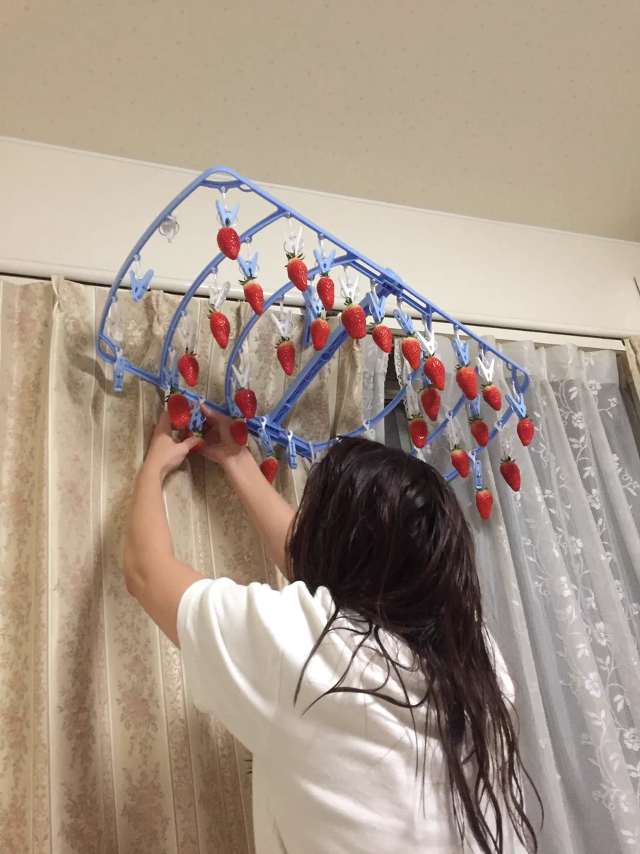 こんないちご狩りは初めてｗｗｗ家の中で出来るよ！ｗｗｗ