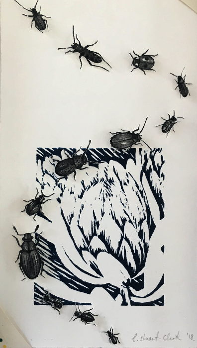 Gallery2art's tweet photo. Last chance to see NINE X NINE ! Elizabeth Tristram and Lucy Stuart-Clark
Exodus
Linocut and collage etching
25.3 x 14 cm
#art #artists #gallery #artdaily #artfirst #southafricanart #femaleartists #ninexnine #artwork #artexhibition #allfemaleshow #printmaking #prints #nine https://t.co/GcPwv7pT5C