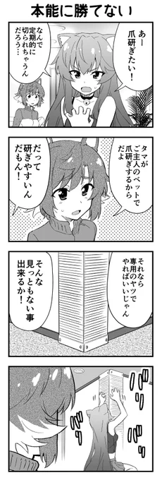 爪とぎ 