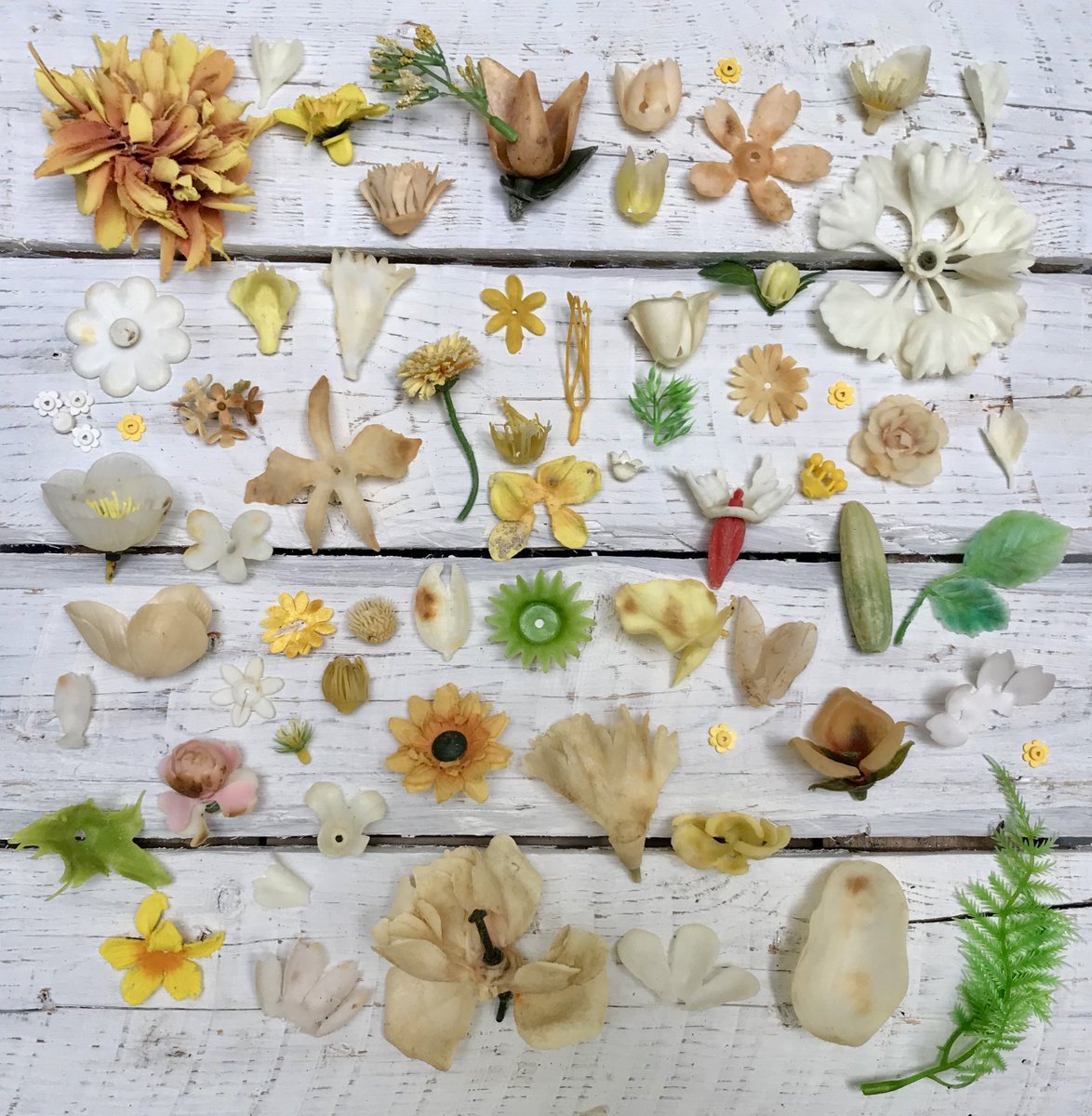 Plastic flowers found on Cornish beaches. In the 60s and 70s, plastic daffodils and tulips were given away free with soap powder. Customers would keep buying the brand till they had enough for a whole bunch. #SoapPowderWars
#StDavidsDay #plasticheritage #plasticarchaeology