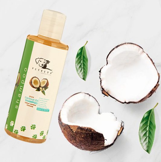 Petveda's tweet photo. Ultra rich Coconut Oil Shampoo for added moisture &amp; deep conditioning..
Made for pets, but tested on humans....
#FridayFeeling #petveda #ayurveda #organic #doggrooming #pets #petsofinstagram #petcare #dogsoftwitter #dogs #CrueltyFree https://t.co/cFewQhnoX5