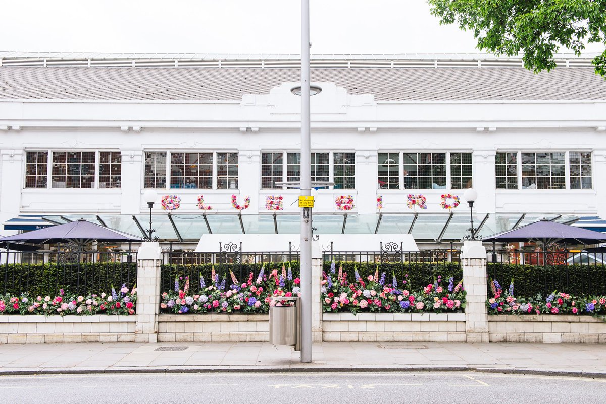 bodyism's tweet image. #BodyismxBluebird #BlueprintandBrunch | Join us tomorrow, March 2nd for a signature Blueprint class at 10am, followed by a well-deserved brunch of Avo Toast, Yoghurt &amp;amp; Granola and fresh fruit, plus Protein Excellence shakes! Get your tickets at bit.ly/BlueprintBrunch